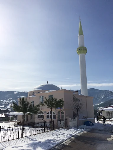 Camimizin Geçmişi