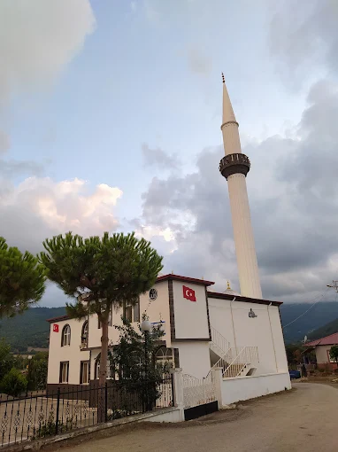 Çam Ağaçlarının Gölgesinde