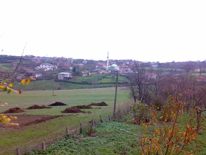 Geçmişten Bir Kare